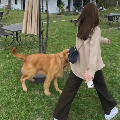 残秽，不可以住的房间